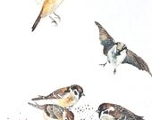 Watercolor Painting, Original Painting, Birds, Sparrows, 18"x24"