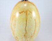 Ethereal Happenings - Box Elder Hollow Vessel