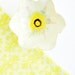 ceramic bowl white poppy flower hand built wedding decor white wedding favor