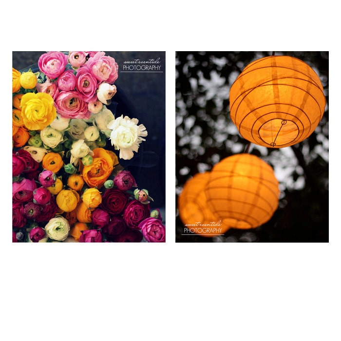 Photo set ranunculus flowers orange paper lanterns pink yellow white magenta 8x10
