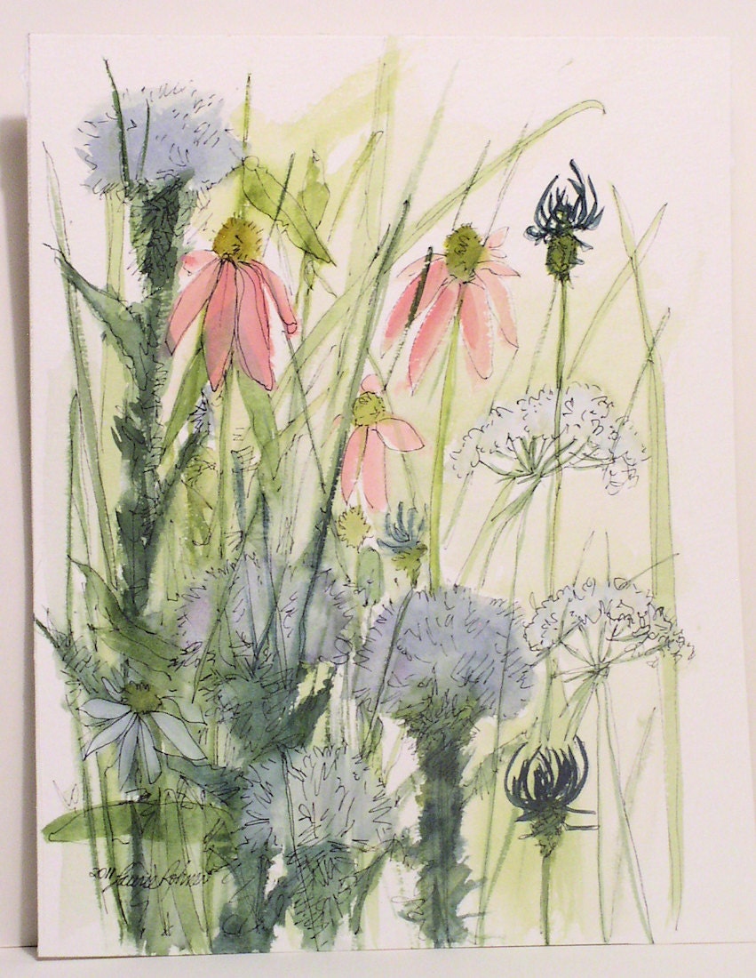 Watercolor Painting Illustration Botanical Garden Wildflowers Artwork by Laurie Rohner