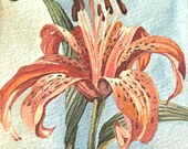 Botanical Watercolor Lily Original Painting Orange Garden Flower Art by Laurie Rohner