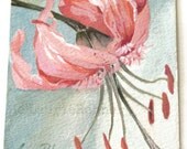 Pink Lily Botanical Watercolor Garden Flower Painting Original Nature Art by Laurie Rohner