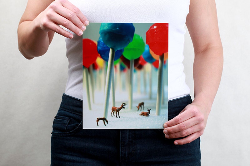 Lollipop Forest - 8x10 Metallic Print