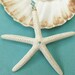 Beach Ornament - Starfish with Aqua Swarovski Crystal and Beads