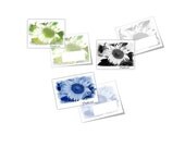 Sunflower thank you note cards / set of 6 / cyan blue sunflowers / kelly green sunflowers / black and white sunflowers / matching envelopes