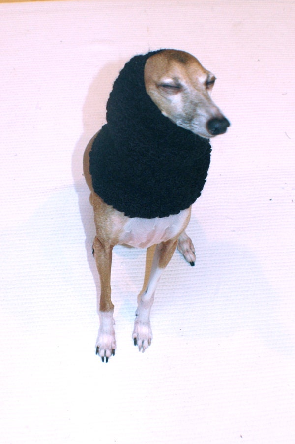 Italian Greyhound (Small Dog) Snood or Neck Warmer in Basic Black