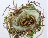 Good Medicine: Nestering  - An Original Watercolor