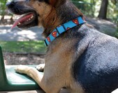M/L Superman Shields Dog Collar