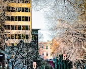 Photo of Winnipeg's Exchange District in Winter - Fine Art Photo entitled Winter's Exchange -  8 X 10