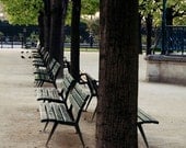 Paris Photography - Park Benches - Tree Photograph - French home Decor - Green - Wall Art - Urban - France - Photo