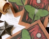 Luna Moth Cards Set of 10 Fly Me to the Moon Insect Butterfly 5 x 7 Lepidoptera Nocturnal Caterpillar Nature Garden Firefly Summer Moon