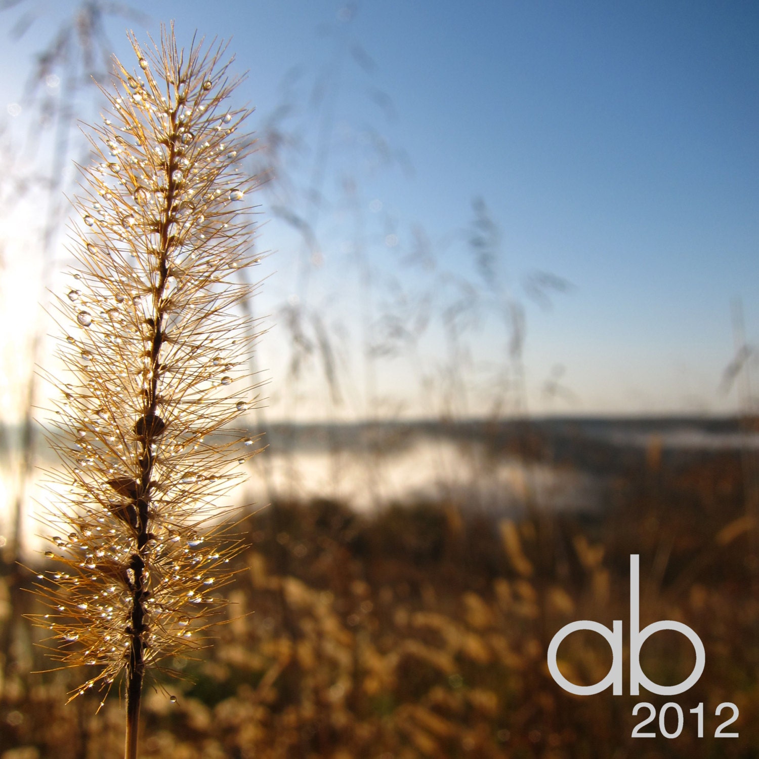 dewy frond print 12 x 12 - ApricotBasket