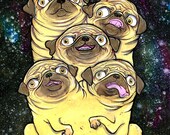 Hydra Pug