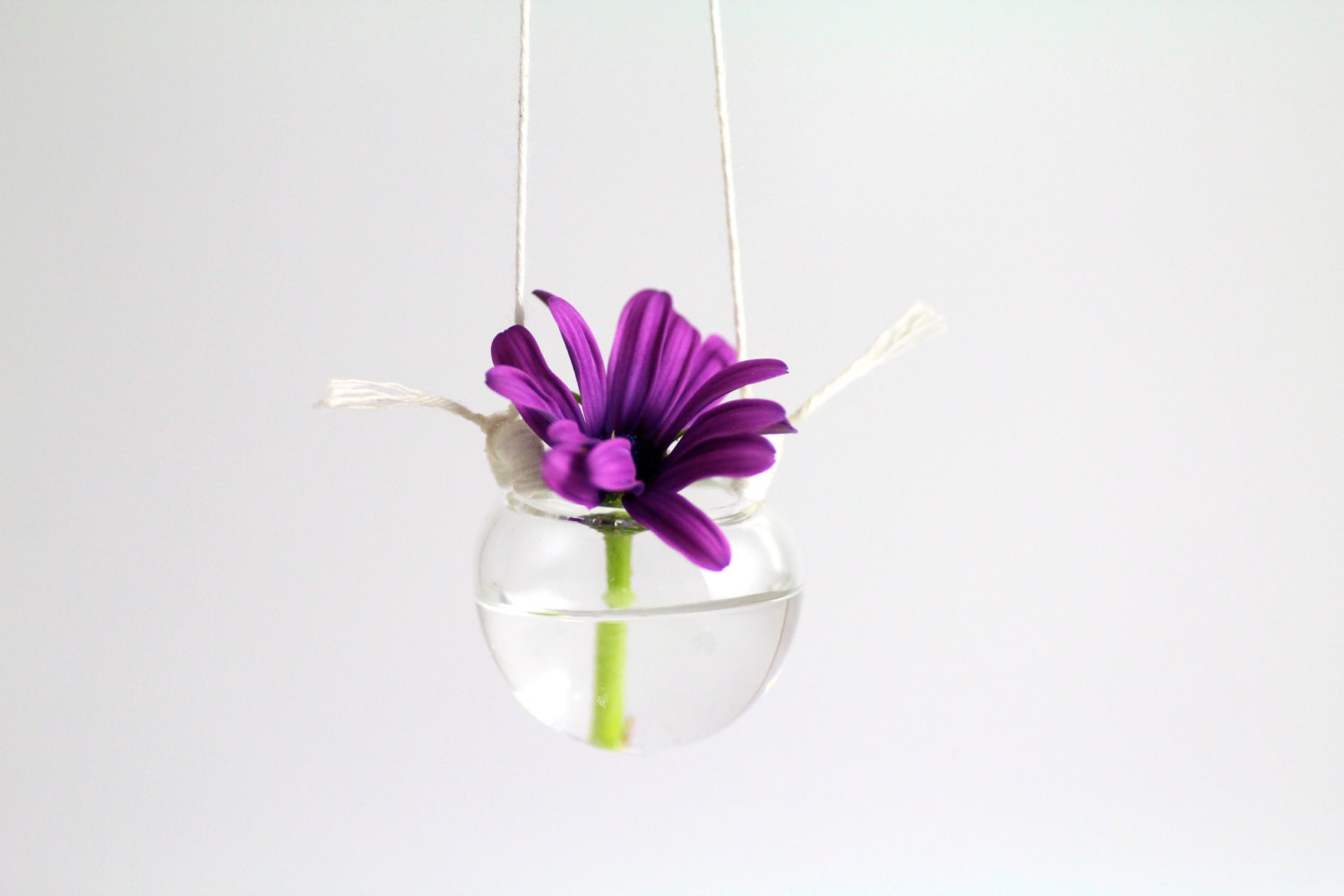 Bloom Basket (S A L E)