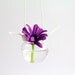 Bloom Basket (S A L E)
