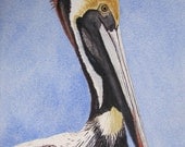 Brown Pelican Bird Portrait, Watercolor Painting, Seashore Wildlife Art Print of Original, Barbara Rosenzweig, Etsy
