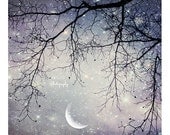 Night Sky Photo. Moon Art. Purple sky. Dreamy. Surreal. "Fairy Tale"  Tree branches. silver. white. girly. stars. starry.  choose your size