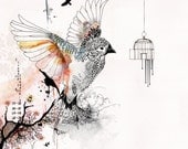 Prints illustrations, Bird cage art, Living room art, Bird art drawing, Orange and gray
