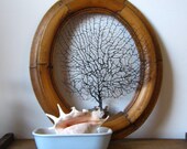 Blue Airline Dish / Blue Hall Dish