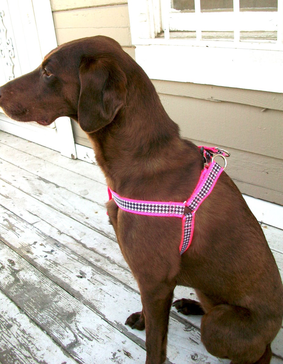Step in Harness in Hot Pink and Houndstooth Width 1"