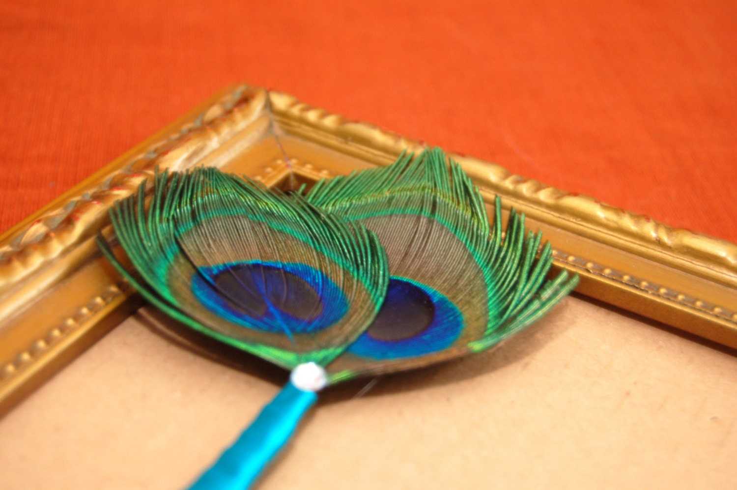 Double Peacock Feather Boutonnieres/ Button Holes with Turquoise Ribbon