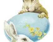 1 1/2 Fabric Button Spring Rabbits Bunny Blue Egg Yellow Dainty Floral Woodland White Fresh Fashion Trend