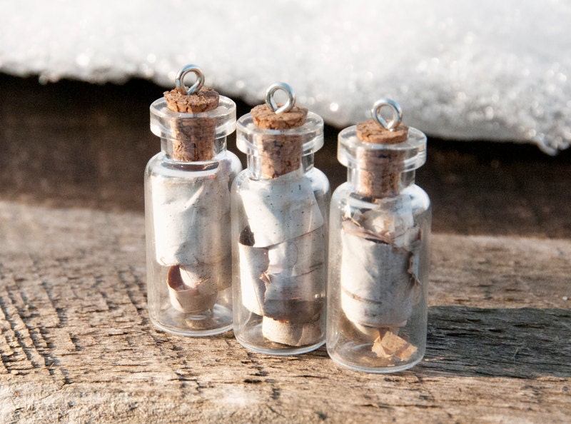 Birch Bark Bottle Necklace