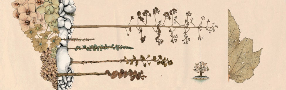 Botanical garden