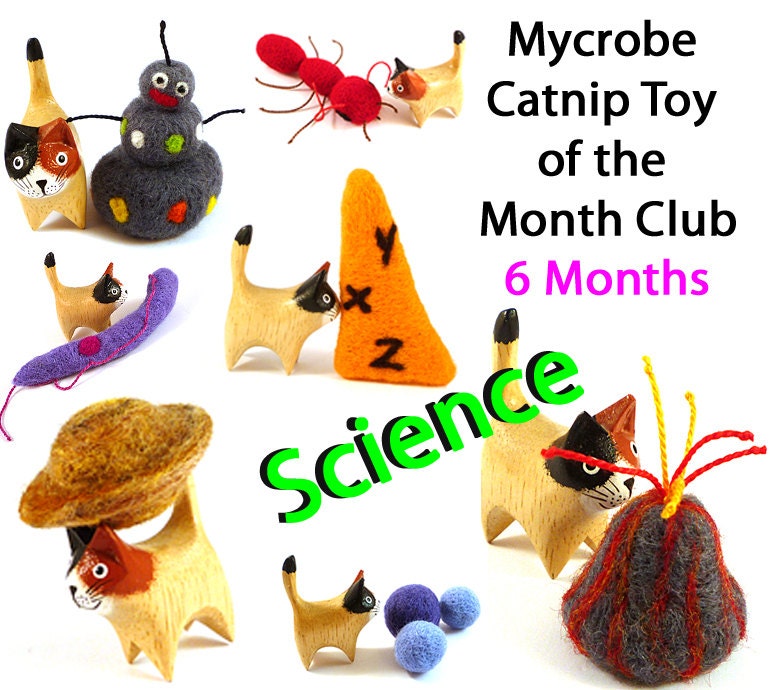 Mycrobe Cat Toy of the Month - Science Theme - 6 Months