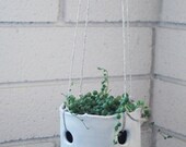 dover mini hanging pot