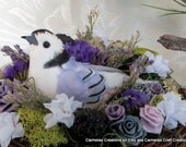 Nut Hatch Bird Nest