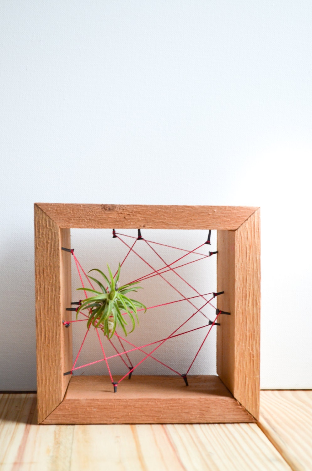 Neon Pink Air plant Rustic Reclaimed Recycled salvaged wood holders. Vase, wall decor, geometric, terrarium wedding birthday gift