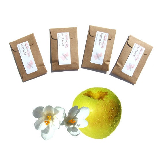 Golden Delicious Scented Envelope Sachets - Rustic Country Wedding Favor - Apple Drawer Fragrance - Yellow Brown Modern Rustic Home Decor