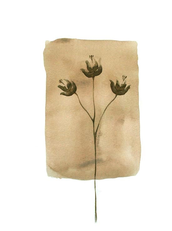 FLOWERS - Drawings with Ink, pencil and acrylic. Brown/beige/ 9.4 x 12.6 inches by Cristina Ripper - SimpleArtStudio