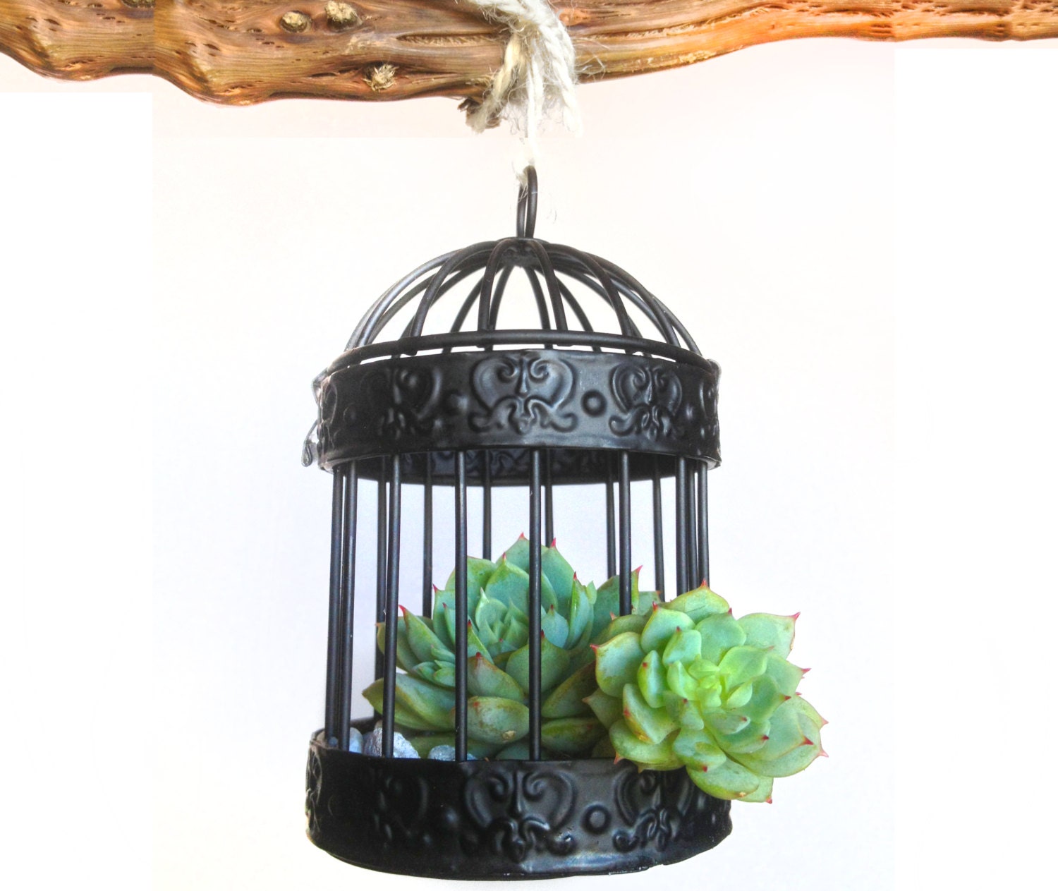 Birdcage Miniature Vintage Terrarium