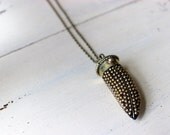 Studded Horn Necklace