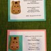 12 invitation cards to a horse or pony themed birthday party