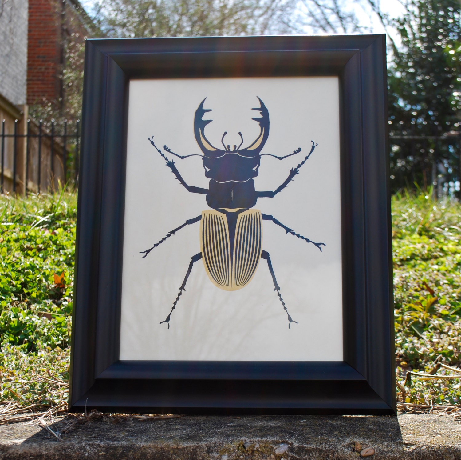 Black and Gold Beetle 9" x 12" screen print