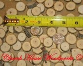 25 qty 1/2" to 1" wood slices, tree branch slices, use for crafts, buttons, decoration, woodworking, miniatures, hobby trains, tree slices