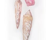 Watercolor painting of seashells. Art original. Ocean, sea in art.Wall art.pastel, beige, natural painting.