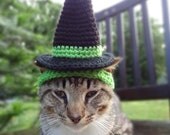 Witch Cat Dog Costume - DEMO VERSION of The Witch Hat for Cats and Small Dogs - Custom Colors