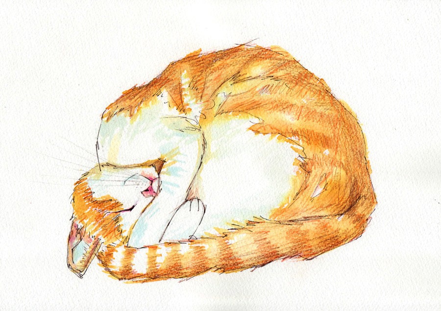 Commissioned Portraits of Cats - Original ink illustration Cat Portrait