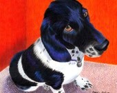 Custom Pet Portrait, 16 x 20 inches, Also in 4 x 6 inches, 5 x 7 inches, 11 x 14 inches, Original Dog Drawing, Dog Art, Personalized Pet Art