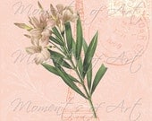 Pink Flowers and Eiffel Tower on "antique pink" background, 8x10 Print, French Country Cottage Chic