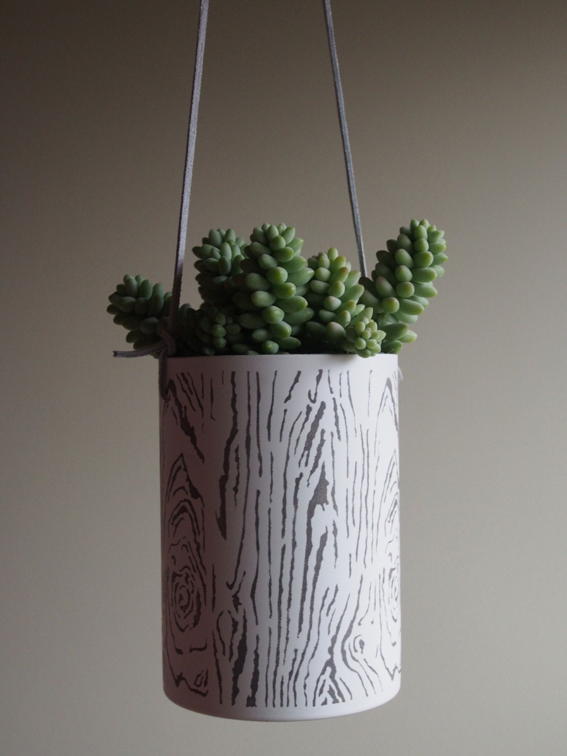 Snow White Bark hanging metal succulent planter