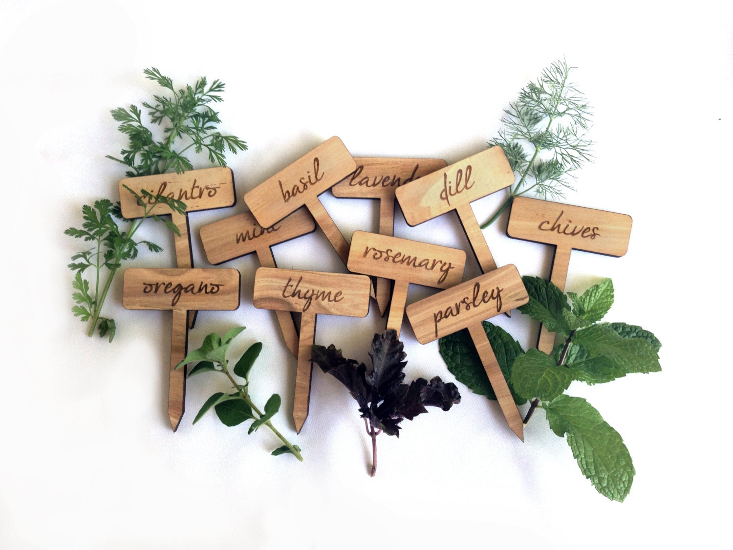 Set of 10 Etched Wood Herb Garden Plant Markers
