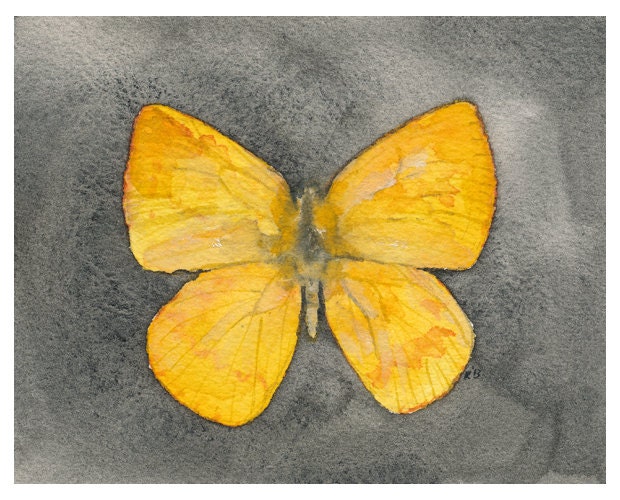 Lemon Yellow Butterfly - archival print of watercolor painting - Catopsilia Pomona