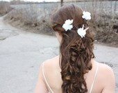 Wedding Hair Combs Crystals Pearls Flowers