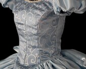 Adult Cinderella Blue/Silver Swirl Custom Costume